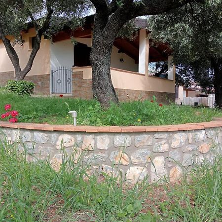 Casa Vacanze Tramonto Apartment Marina di Camerota Bagian luar foto